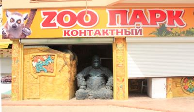 Контактный зоопарк в Алуште