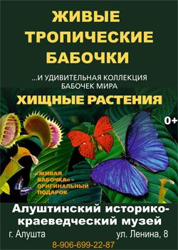 Выставка бабочек в историко-краеведческом музее